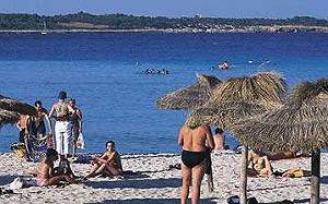 英吃壞肚子集團涉詐西班牙6千萬歐元