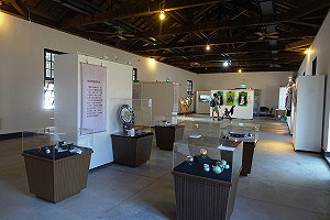 海關碼頭有「藝」思  新北駐村藝術家獲獎連連