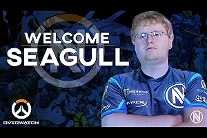 《鬥陣特攻》NV添生力軍  「海鷗」加入OWL賽事