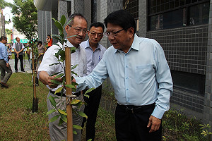 保護瀕危武威山烏皮茶  保種繁殖苗株