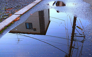 登革熱秋天仍高峰！積水角落別輕忽
