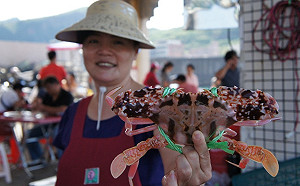 中國直送活蟹形成防疫漏洞？防檢局：不會傳播非洲豬瘟