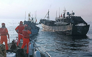 台陸漁船作業擦撞   海巡艦艇馳援助雙方民事和解