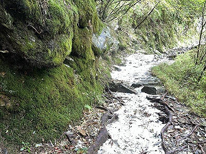 玉山下冰雹!夏天出現「冬季雪景」 積冰5公分畫面曝光