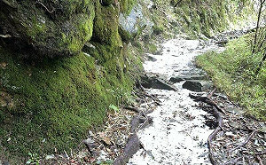 玉山下冰雹！夏天出現「冬季雪景」 積冰5公分畫面曝光