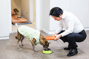 國際狗狗日  賴清德秀「斑斑」照:打造台灣成為動物友善國家