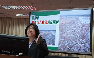 綠營定錨嘉義市長戰局  王美惠披掛上陣：這是使命不是選擇