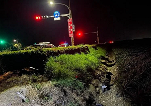 屏東枋寮未成年酒駕!摔車跌落鳳梨田  幸無大礙