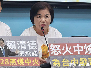 「丟連結」給立委填拜會時間 楊瓊瓔:立院是附屬還下級單位?