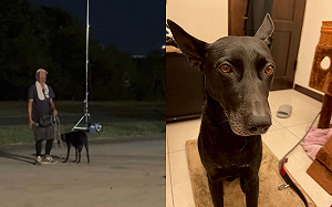 街友偷狗虐打致死拋屍基隆河遭法辦！飼主傷心欲絕