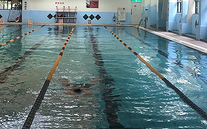 嘉義救生員拍8少年性影像  備份雲端遭Google通報！跨國查獲判決出爐