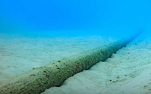 網傳「9條海纜全斷」成通訊孤島！事實查核中心回應了