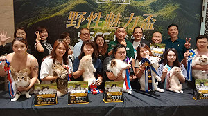 超稀有虎貓及捲⽑貓現⾝高雄貓展  世界⾸創跨界貓咪美容賽登場