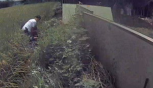 5人被騙逾6千萬　刑事局中打中心破詐團逮27人