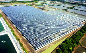 (影)遭審計部指漁電共生「近七成有電無魚」！漁業署曝數據反擊了