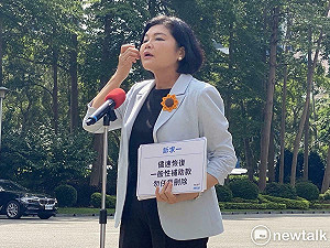 財劃法爭議》張麗善：別抓小瑕疵、右手卻刪掉一般性補助款
