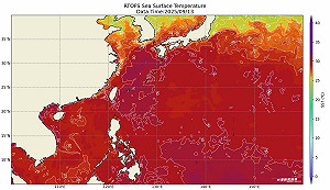 不只陸地熱爆!台日海溫「紅通通」專家:下週起颱風逐漸活躍