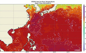 不只陸地熱爆!台日海溫「紅通通」專家:下週起颱風逐漸活躍
