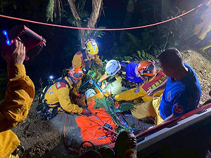 花蓮男子開車墜30米山谷  消防救援脫困幸無大礙