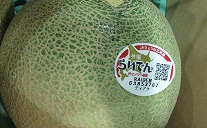 食藥署攔截17項違規進口產品！日本鮮蜜瓜檢出禁用農藥  