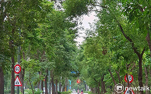 台南樹谷大道測速設置爭議大  立委林俊憲呼籲應儘速檢討