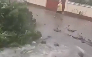 颱風樺加沙強襲北菲律賓！專家示警：下午通過巴士海峽、離台灣最近