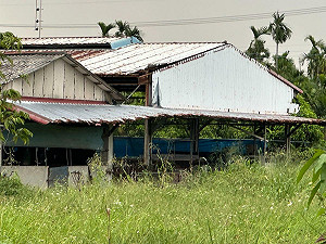 「政府公權力又睡著了?」 屏東非法犬隻繁殖場擾亂社區安寧無人管 