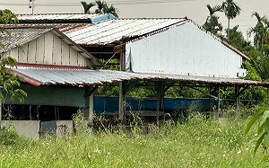 「政府公權力又睡著了?」 屏東非法犬隻繁殖場擾亂社區安寧無人管 