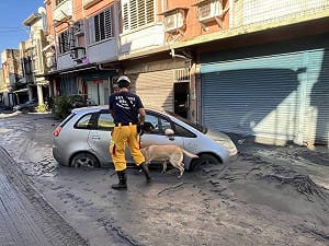 高市特搜隊馳援花蓮光復鄉救災  救出3人1犬