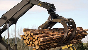 川普出手！木材家具關稅＋25%、進口木材徵10％ 房價、建築成本恐迎新一波海嘯