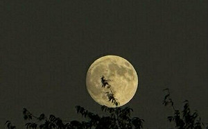 中秋夜月亮非「真正滿月」！天文館揭最佳賞月時刻：今夜仍最美