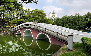 台中公園驚見男性浮屍！清潔人員巡湖發現嚇壞報警