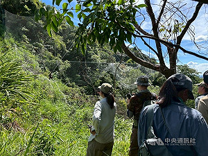 基隆山區再發現違法新鳥網　市府加強查緝