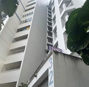 新加坡中國移民雙屍案! 47歲劍橋女博士疑活活餓死 老父也成一堆白骨