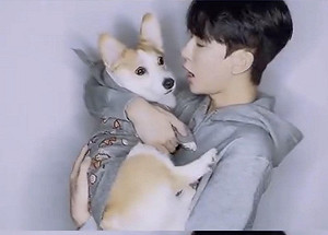 驚傳于朦朧的「虐待直播」在暗網流傳! 要價高達10萬美金 網稱已送FBI調查