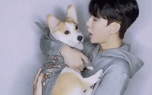 驚傳于朦朧的「虐待直播」在暗網流傳! 要價高達10萬美金 網稱已送FBI調查