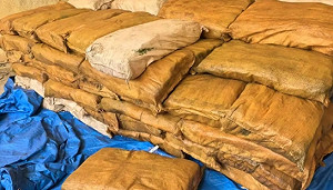 亞太海上破獲毒品最大宗! 集盛輪走私毒品近5千公斤 中、泰、美共同偵破