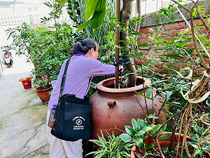 台南第13例登革熱境外移入  越南發病返國確診