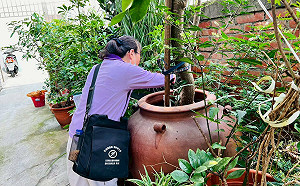 台南第13例登革熱境外移入  越南發病返國確診