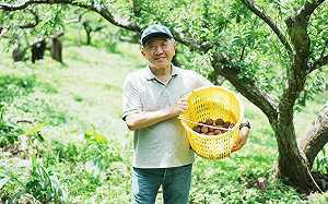 花蓮賑災募款破11億元!善款如回規劃?陳時中:數月內公布方案