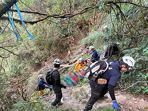 阿里山健行驚魂！10歲男童跌落25公尺邊坡   母親冒險下坡等待救援