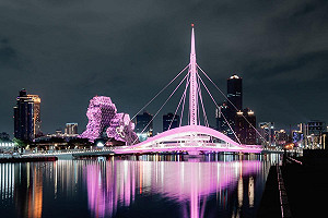 迎K-POP天團BLACKPINK降臨    高雄六大地標點亮粉紅燈光應援