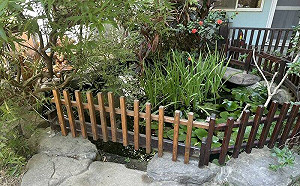 托嬰中心驚傳女嬰溺斃生態池！新竹縣勒令停收新生