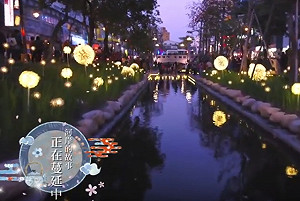 《綠川 心旅行》