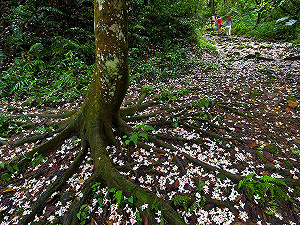 從早玩到晚的四月踏雪之旅