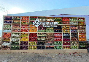 「2025中台灣農業行銷展售會」兩大亮點! 4米高巨型蔬果牆 × 禮物盒裝置藝術 超吸睛打卡必拍