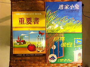 萬物與語言的魔法——《重要書》