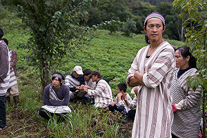 公視紀錄片司馬庫斯  蒙大拿獲獎