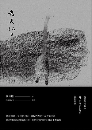 螞蟻和蛆跳舞，《光天化日》為每尾影子書寫