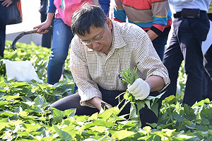 魏應充無罪  柯文哲：至今最大催票行為